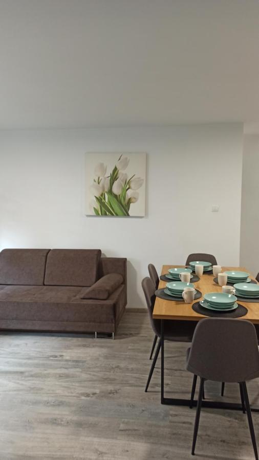 גלוחולאזי Apartament Zdrojowy II מראה חיצוני תמונה
