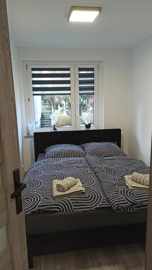 גלוחולאזי Apartament Zdrojowy II מראה חיצוני תמונה